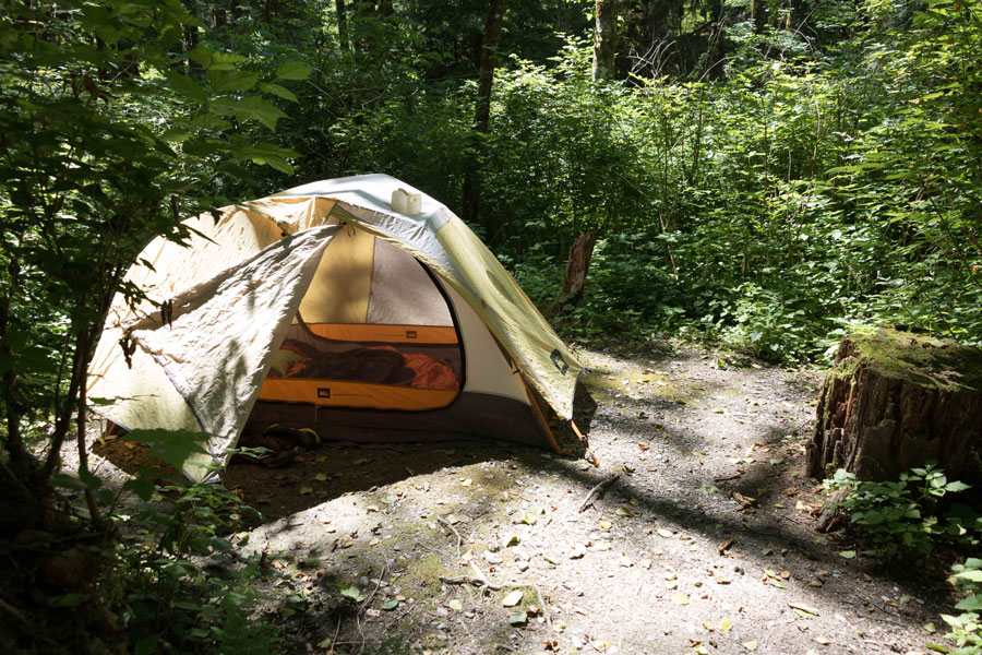 TENT CAMPING.